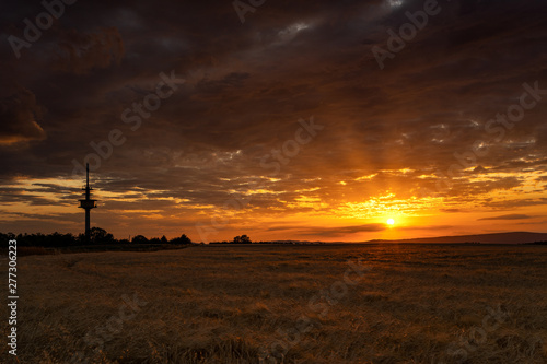 Sonnenuntergang über Getreidefeld