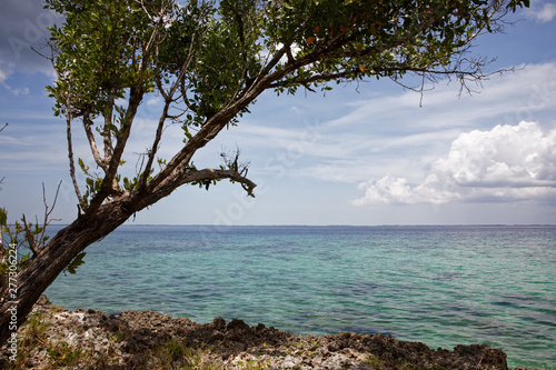 Fototapeta Naklejka Na Ścianę i Meble -  Coral beaches and turquoise water on the wild noon coast of Cuba, Bay of Pigs, Playa Giron