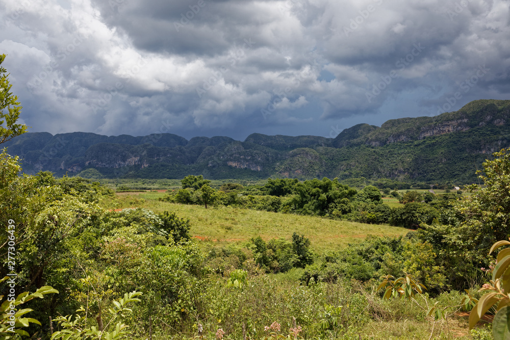 Vinales, Cuba - July 28, 2018: Beautiful Cuban nature and tropical vegetation in Vinales Vinales, Cuba - July 28, 2018: Beautiful Cuban nature and tropical vegetation in Vinales