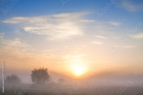summer landscape with sunrise and fog © yanikap