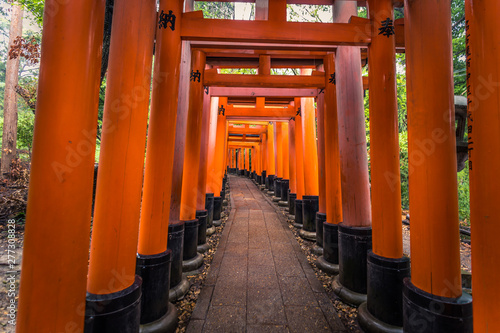 Kyoto - May 28, 2019: Torii gates of the Fushimi Inari Shinto shrine in Kyoto, Japan