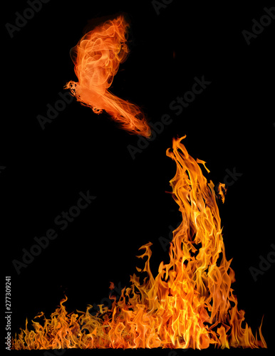 small bird flying from high orange flame photo