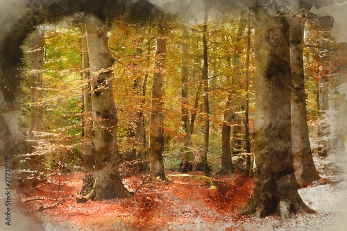 Digital watercolour paintin...