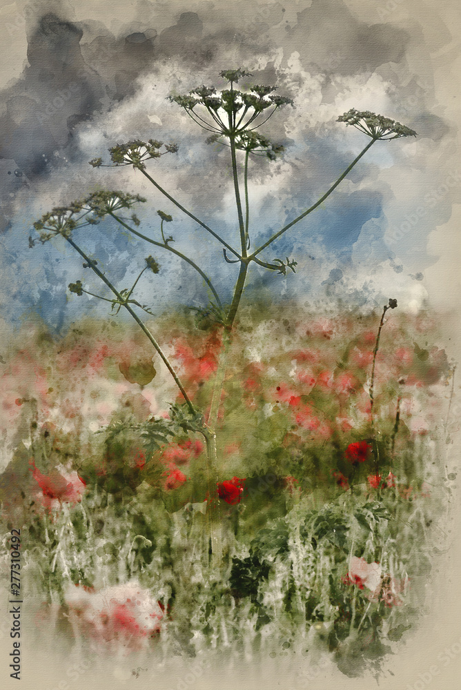 Digital watercolour painting of Beautiful poppy field landscape during sunset with dramatic sky - obrazy, fototapety, plakaty 