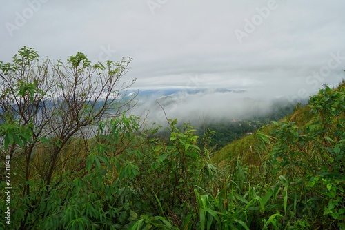 lake in forest