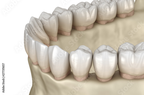 Fototapeta Naklejka Na Ścianę i Meble -  Mandibular jaw anatomy. 3D illustration concept of human teeth