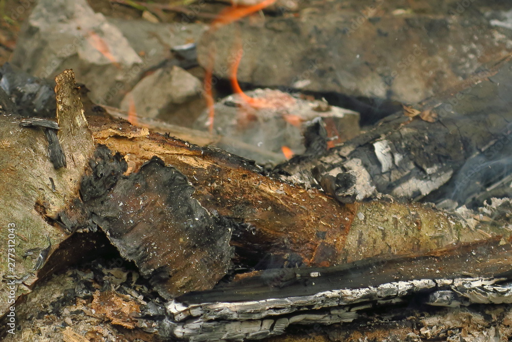 Burning wood in the fire, divorced by tourists Burning wood in the fire, divorced by tourists