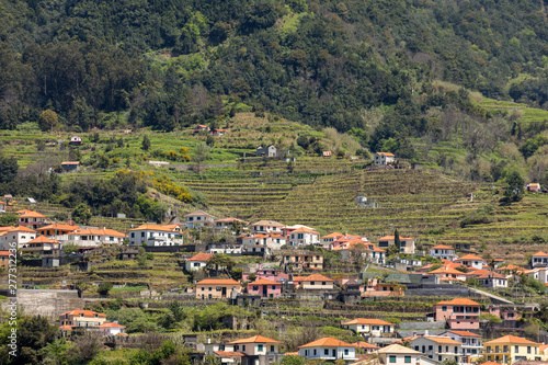  Village and Terrace cultivation in the surroundings of Sao Vicente. North coast of Madeira Island  Portugal