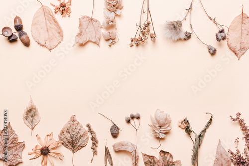 Background creative of yellow dry leaves, acorn, flowers. Autumn concept on yellow background. Pastel colors.