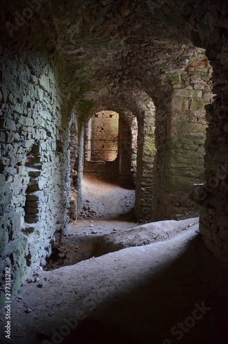 zamek Ujazd   Krzyztopor   stary zamek   ruiny zamku   zabytek   Iwaniska zamek