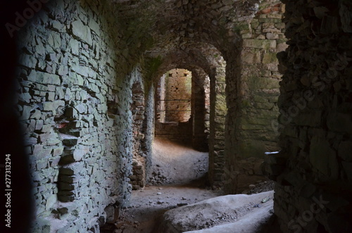 zamek Ujazd   Krzyztopor   stary zamek   ruiny zamku   zabytek   Iwaniska zamek