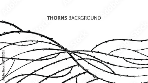 Blackthorn branches with thorns stylish background. photo
