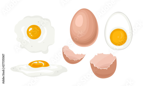 Chicken eggs set. Whole chicken egg in brown shell, half boiled egg with yolk, fried egg, broken egg shell. Vector stock illustration in cartoon simple flat style.