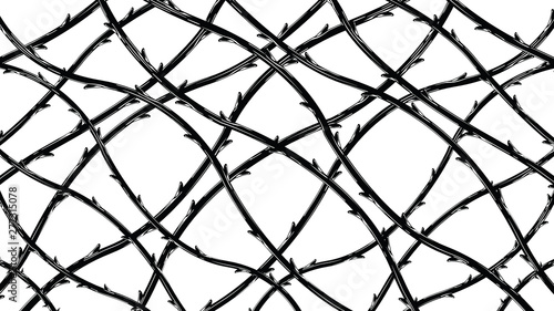 Blackthorn branches with thorns stylish background.