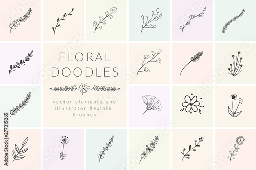 Vector Hand Drawn Doodle Florals, Plants, Branches, Laurels, Flowers. Design Elements Illustration Collection, Flexible Art Brushes