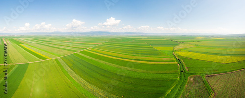 Billede på lærred Aerial drone shot of green fields in Romania
