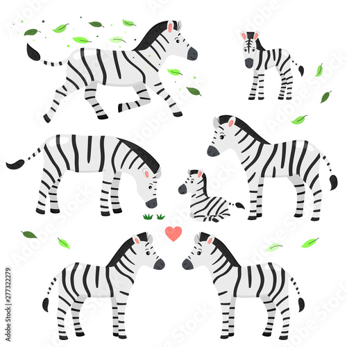 Cartoon vector zebras set. African animals. Zebra's family. Isolated on white background.