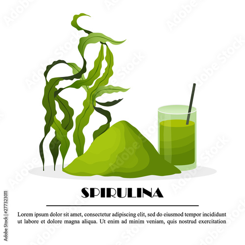 Spirulina poster with seaweeds powder smoothie algae isolated on white background, vector illustration. Healthy food.