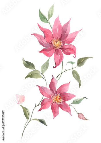 Watercolor pink tropical flowers