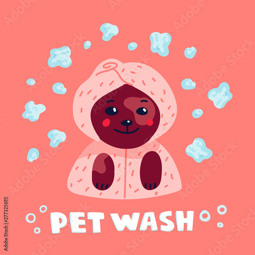 Pet grooming concept. Happy lap-dog in a towel and bathrobe in spa salon. Dog...