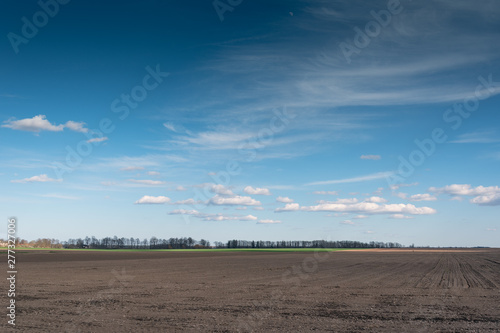 Rural landscape in spring time.