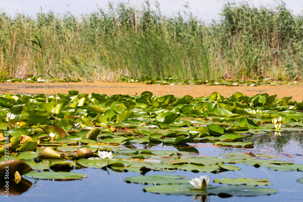 Biosphere of the Danube Delta Biosphere of the Danube Delta