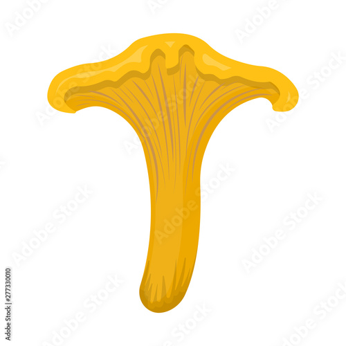 Isolated object of mushroom and chanterelle icon. Set of mushroom and autumn vector icon for stock.