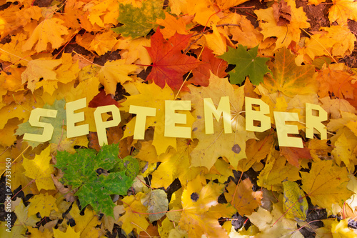 The word September made by letters on the leaves