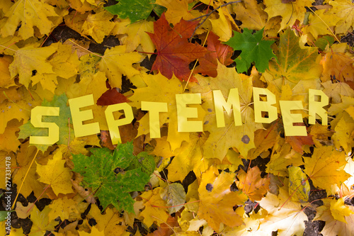 The word September made by letters on the leaves