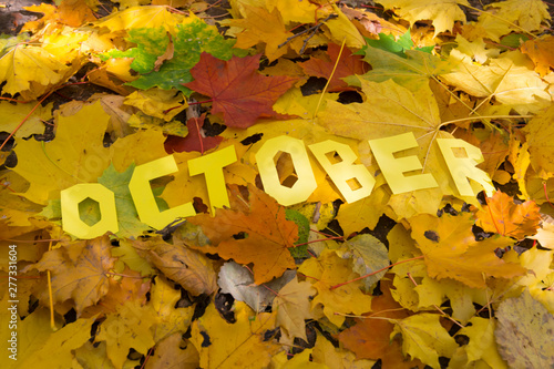 The word October made by letters on the leaves