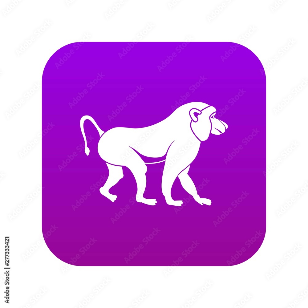 Japanese macaque icon digital purple for any design isolated on white vector illustration Japanese macaque icon digital purple for any design isolated on white vector illustration