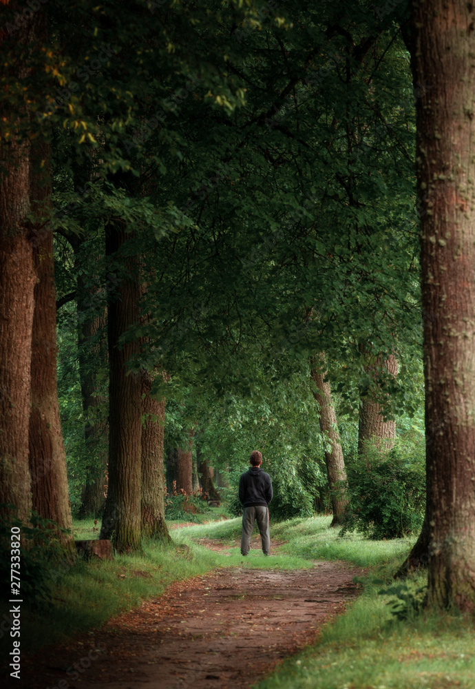 forest path