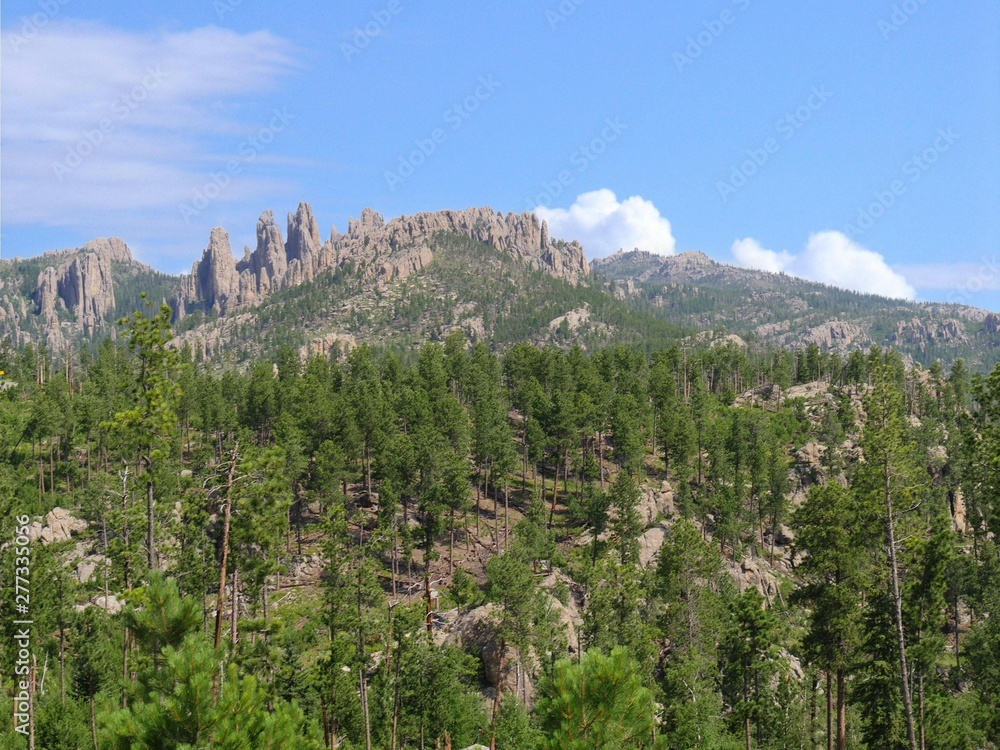 Wide landscape view with rock formations in the distance seen along Needles Highway at Custer State Park, South Dakota.
