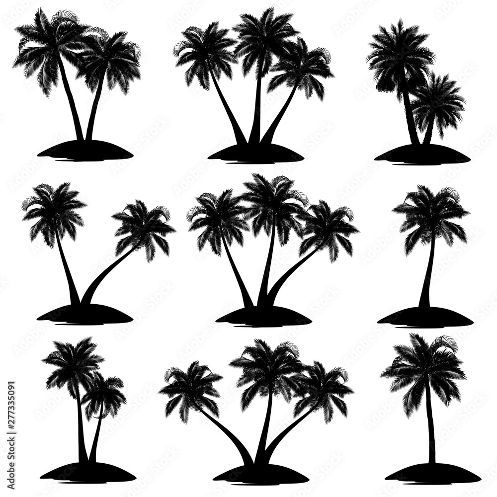 Set of palm tree silhouettes (coconut, date, acai), vector illustrations.