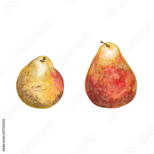 Red and yellow realistic pears.