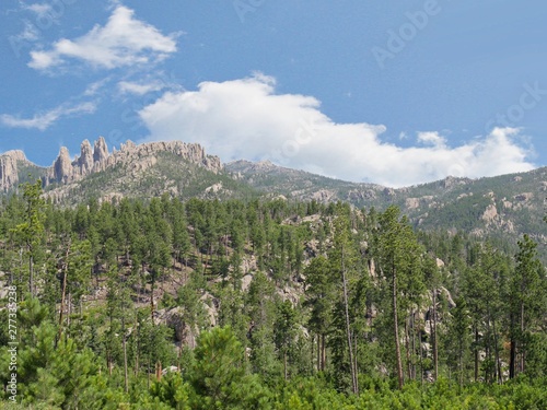 Scenic nature views with rocky mountains in the distance seen along Needles Highway at Custer State Park, South Dakota.