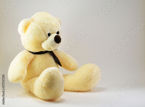 toy teddy bear isolated on white background