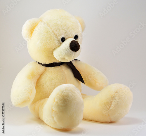toy teddy bear isolated on white background