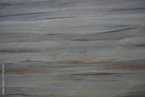 Wood oak tree close up texture background. Wooden floor or table with natural pattern