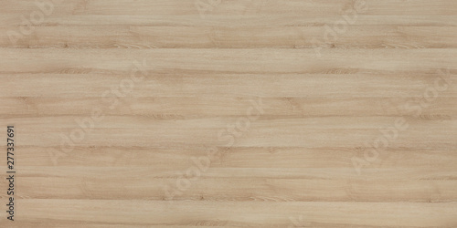 Wood oak tree close up texture background. Wooden floor or table with natural pattern