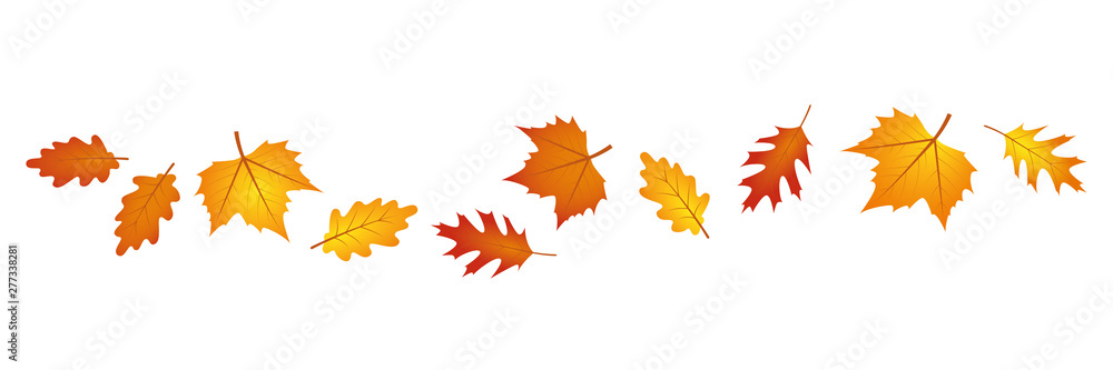 set of autumn leaves in the wind on white background vector illustration  EPS10 Stock Vector | Adobe Stock