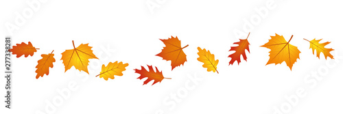 set of autumn leaves in the wind on white background vector illustration EPS10