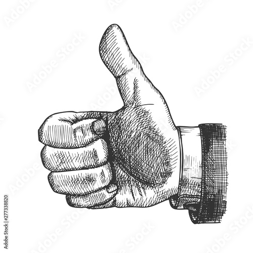 Male Hand Make Gesture Thumb Finger Up Vector. Businessman Showing Gesture Sign Like Good Emotion And Expression. Man Wrist Gesturing Signal Black And White Hand Drawn Closeup Cartoon Illustration