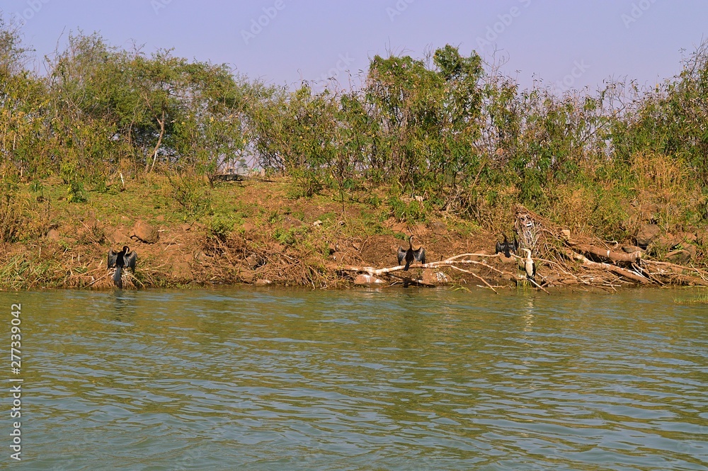 Ethiopia. At the source of the blue Nile. Ethiopia. At the source of the blue Nile.