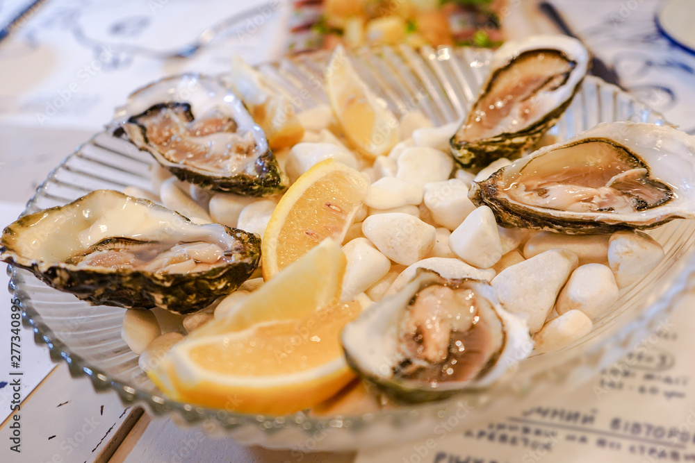 Fresh oysters with lemon slices are served on the stones. Restaurant delicacy. Seafood dish with oysters.