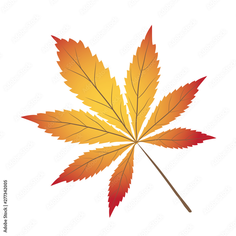 Bright red, yellow and brown autumn leaf on white, stock vector illustration Bright red, yellow and brown autumn leaf on white, stock vector illustration
