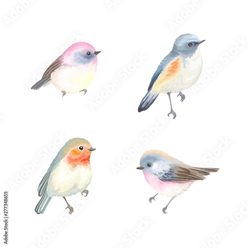 Collection of beautiful birds Robin, Himalayan Bluetail, pink fantasy birds . Vector illustration birds for your design.