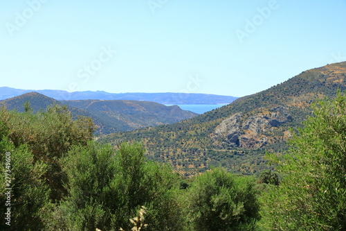 Olive plantations Crete, Greece, Europe