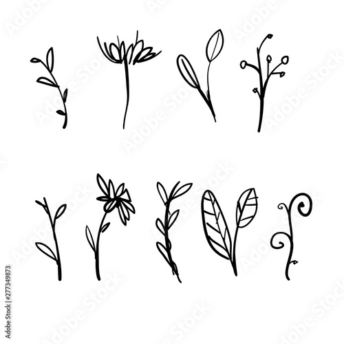 doodle herbal and flourish set illustration in cartoon handdrawn style