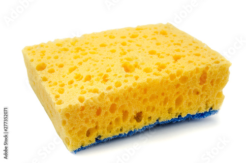 yellow sponge photo